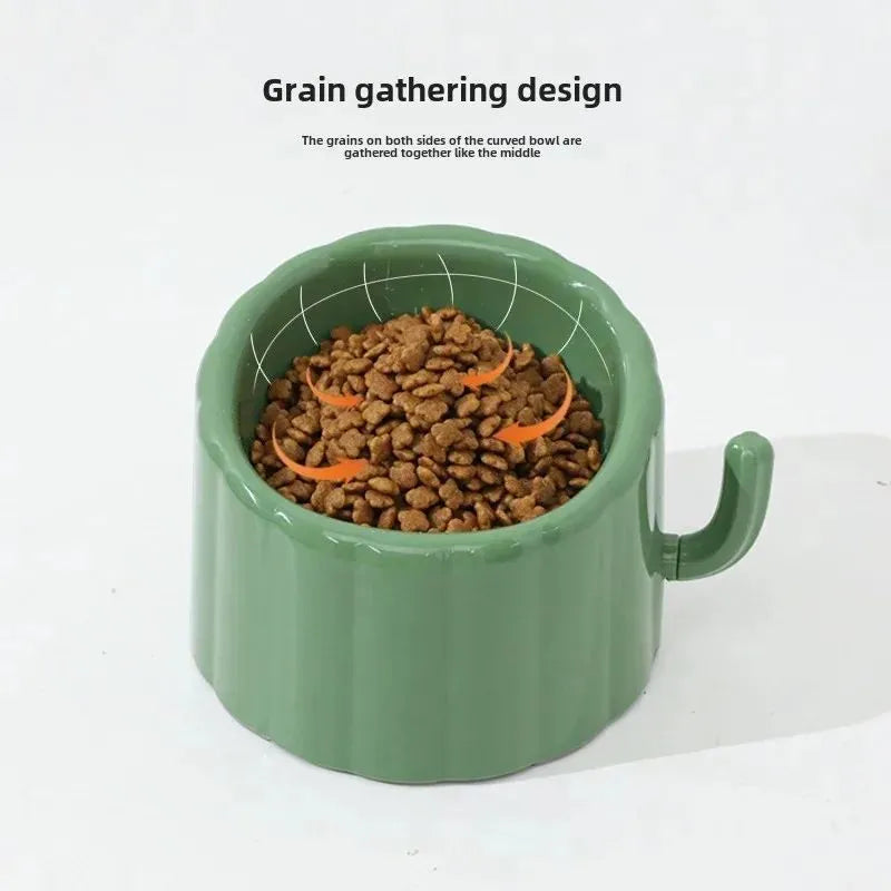 High-stand solid colour cat bowl with cactus design showing anti-slip base and large feeding opening