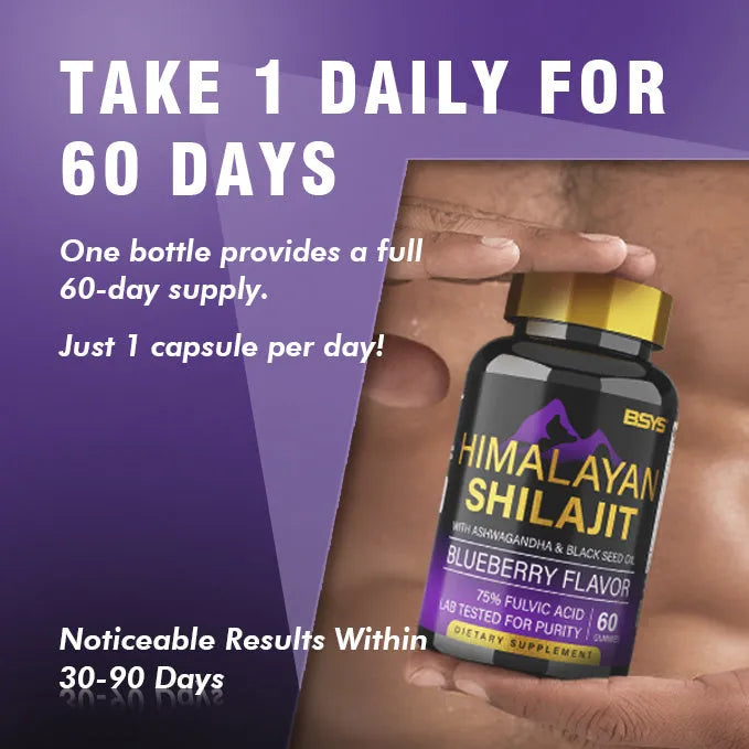 BSYS Shilajit Gummies 60 count bottle dietary supplement for energy and vitality