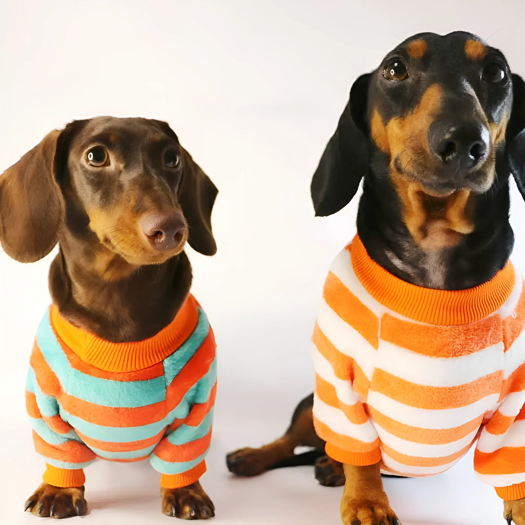 Orange red and white striped casual pet sweatshirt for dogs and cats on a hanger.