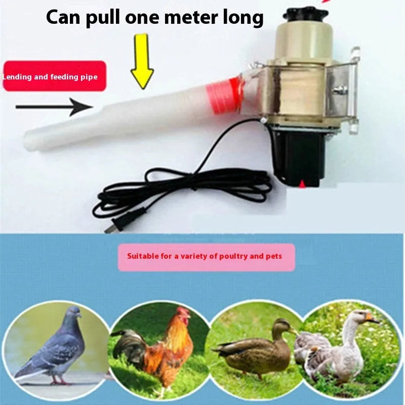 Automatic solar-powered chicken and duck feeding machine with timer display and watertight caisson.