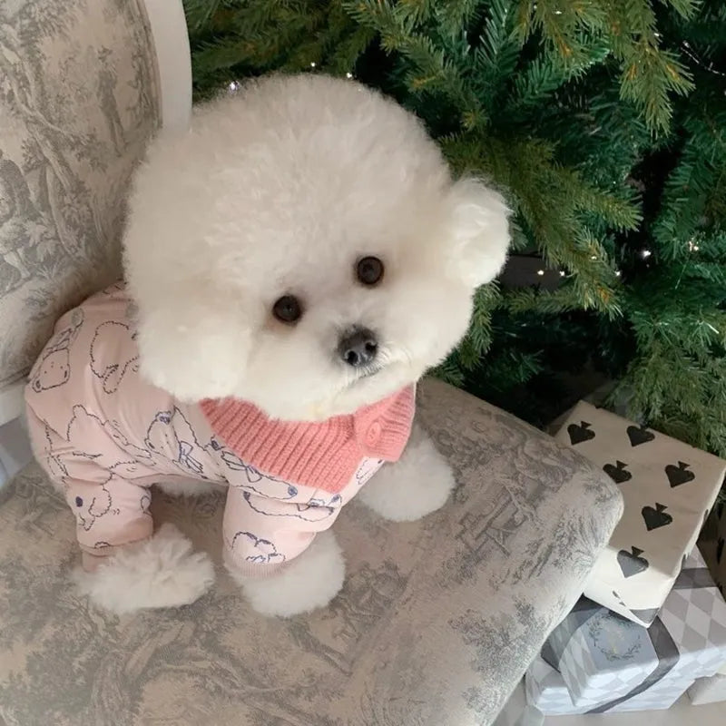 Cute bear print pet winter jumpsuit with knitted scarf on a small dog, padded onesie with fleece cuffs for cold weather