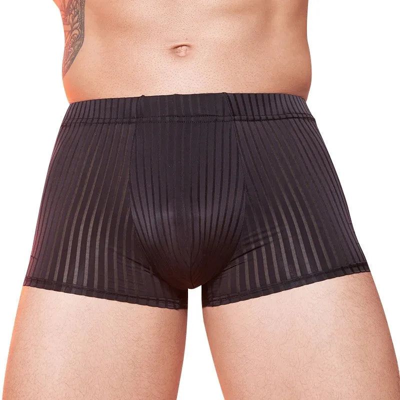 Men's thin striped nylon underwear in black, shown flat.