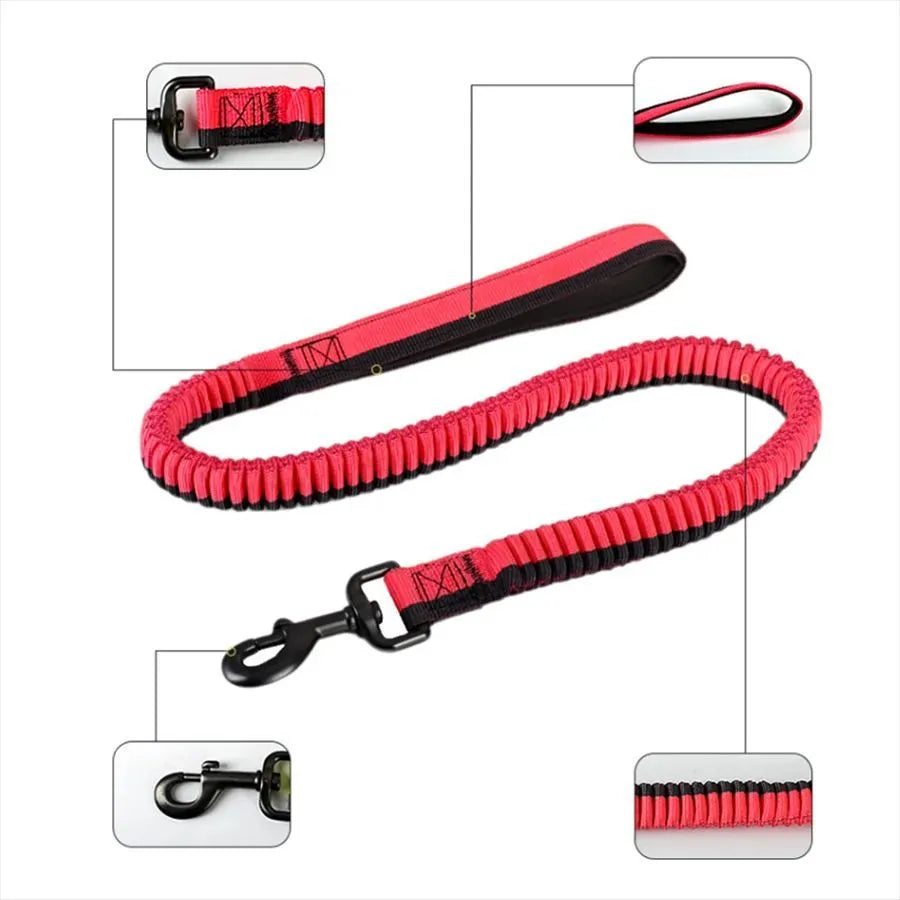 Anti-violence elastic dog training leash in green with zinc alloy clip for medium and large dogs