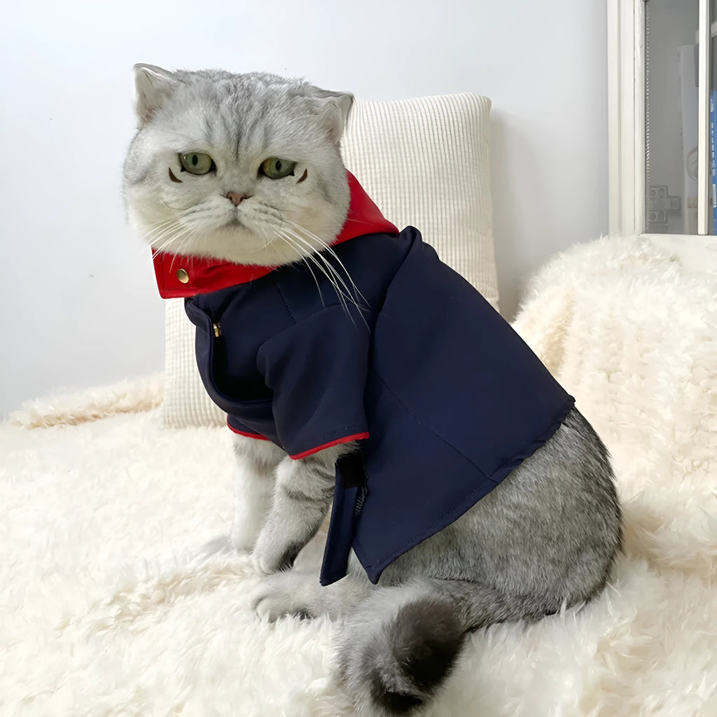 Green pet hoodie costume for a cat or dog worn as a festive photo prop.