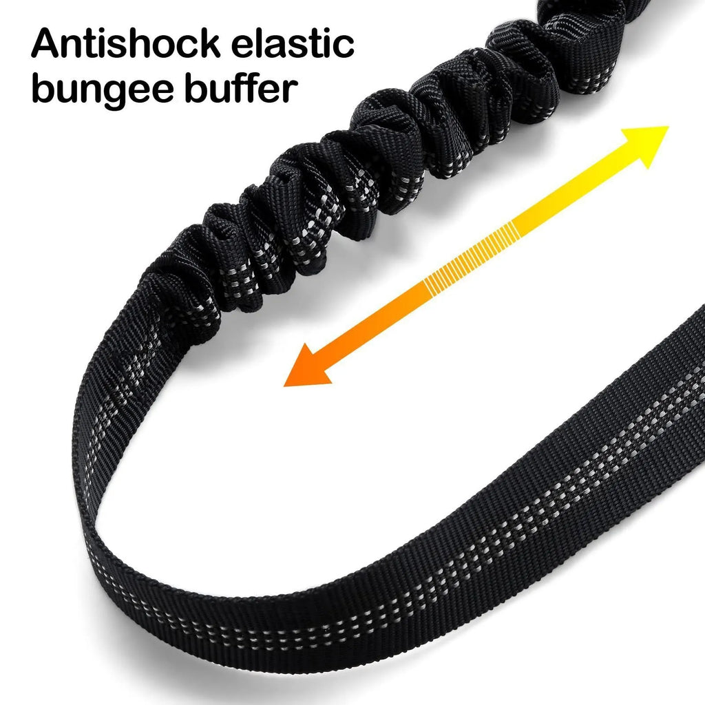 Nylon dog leash with metal buckle in multiple colour options including army green and black