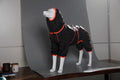 Red cotton-padded dog shell jacket on a medium-sized dog, showing sporty style and fastened front.