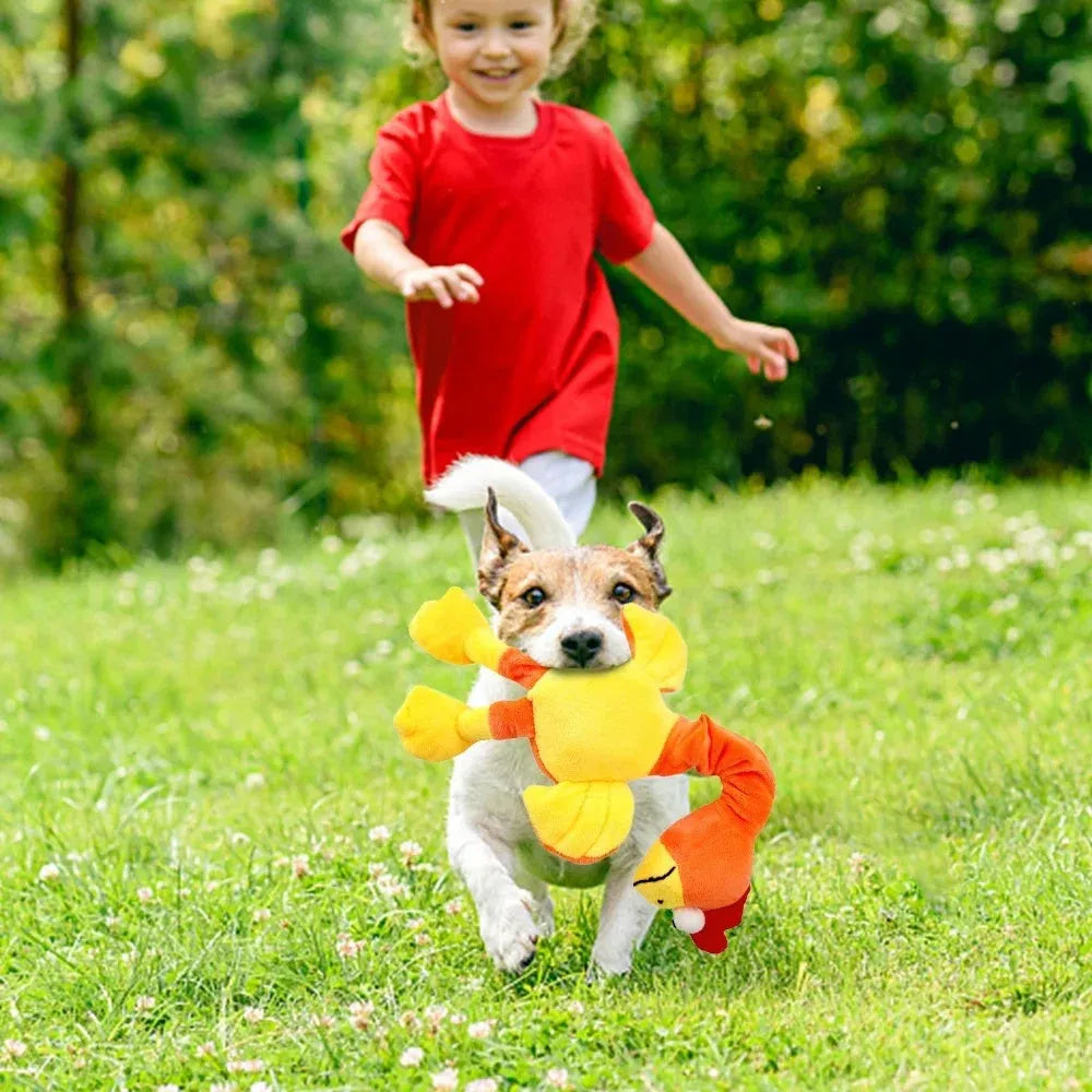 Screaming chicken squeaky dog toy in rubber with bite-resistant construction
