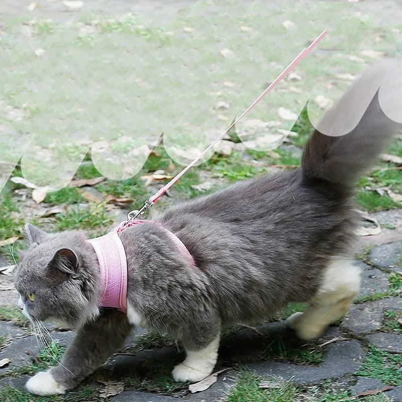 Anti-skidding mesh cat harness in Black with adjustable chest 28-38cm and 120cm leash on cat