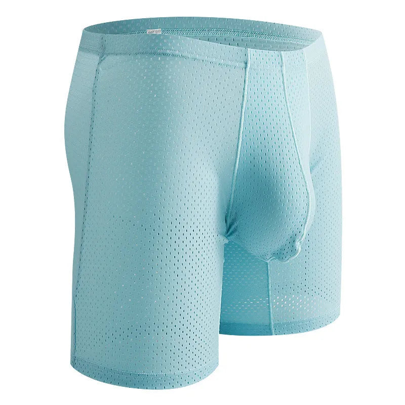 Men's transparent mesh underwear boxers in five colours with extended cut and mid-waist design