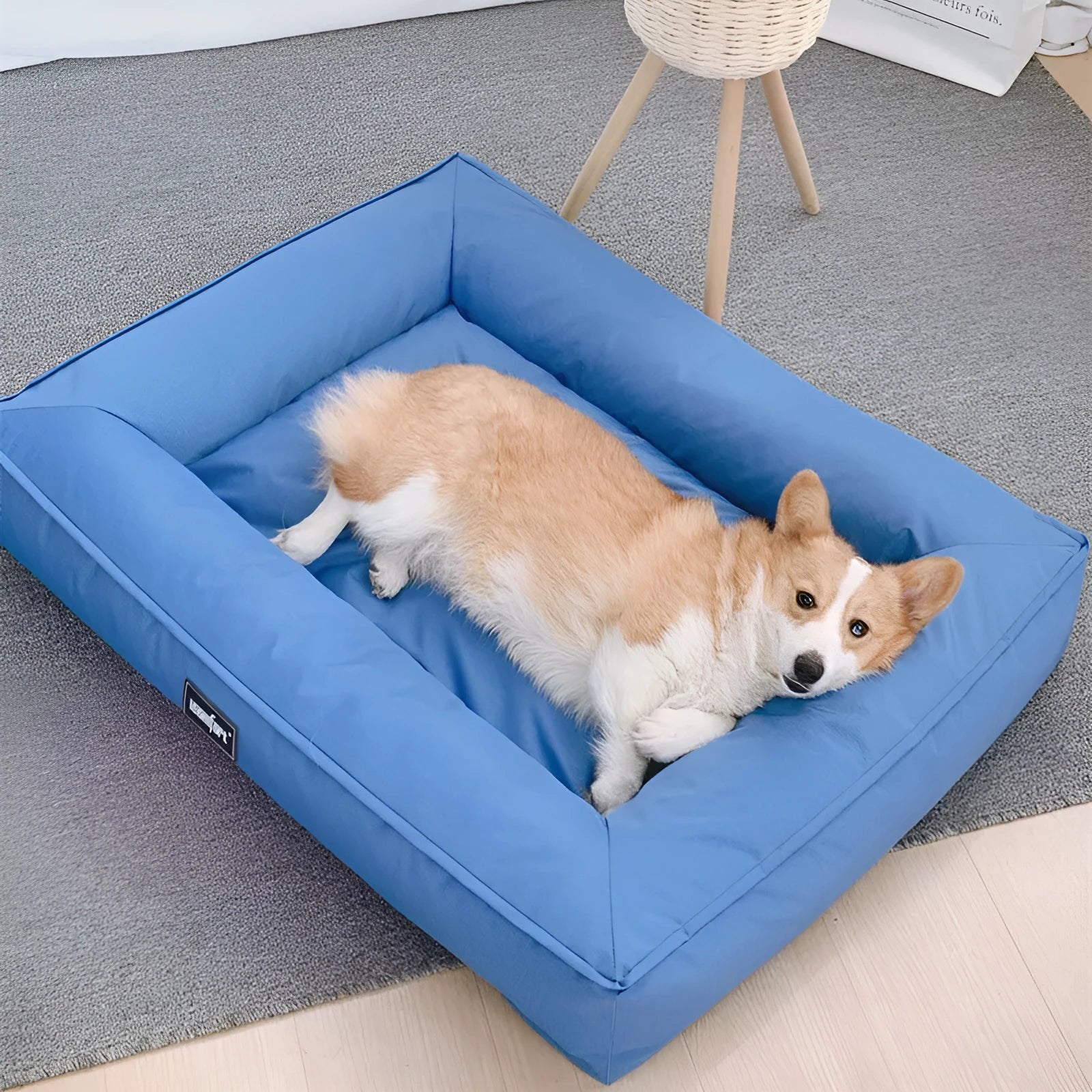 XL removable dog kennel mat with washable cover in blue colour