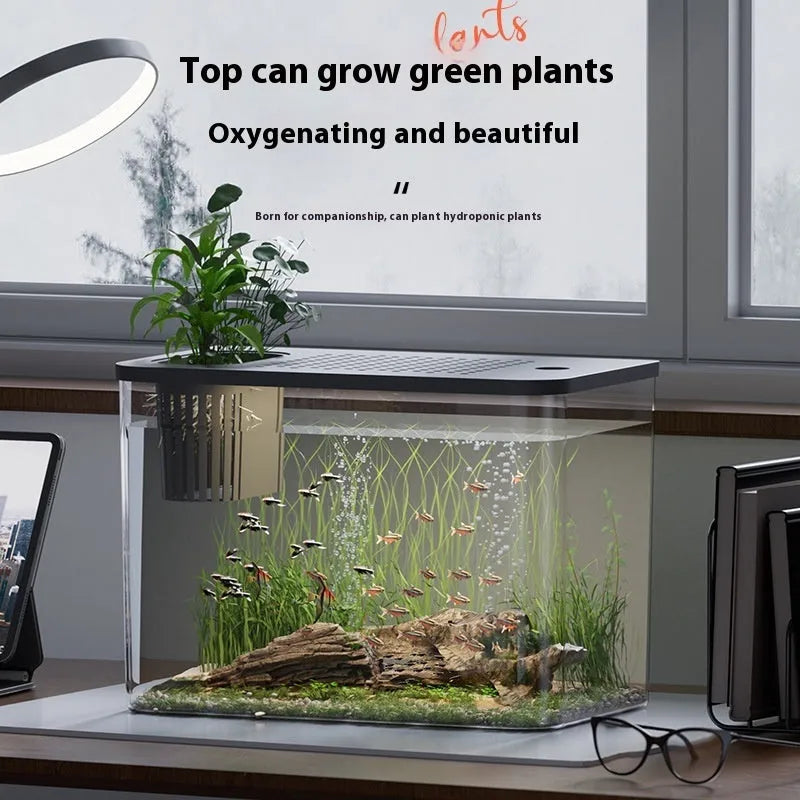 A compact black plastic betta fish tank with a built-in cover, measuring 32cm long, on a wooden table.