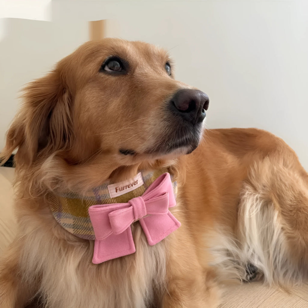 My Maillard Puppy Bow Bib in Maillard Gift colour, adjustable polyester dog feeding collar with decorative bow, size options from Mini to XL