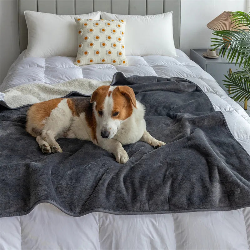 Lambswool waterproof dog blanket in grey, folded to show size and cloth texture.