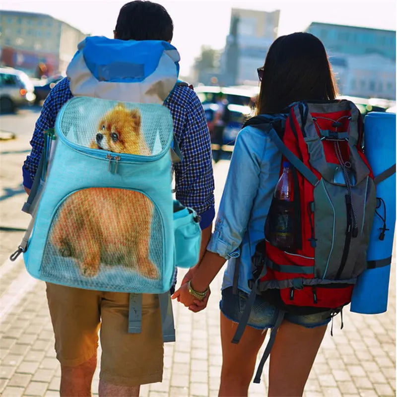 Blue foldable nylon pet backpack for cats and small dogs, size L, sitting on a flat surface