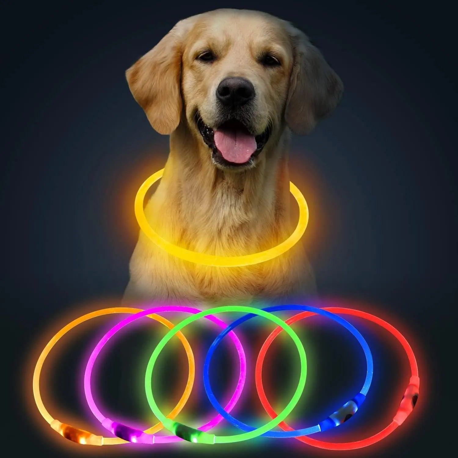 Blue USB rechargeable LED dog collar glowing on a dog's neck at night