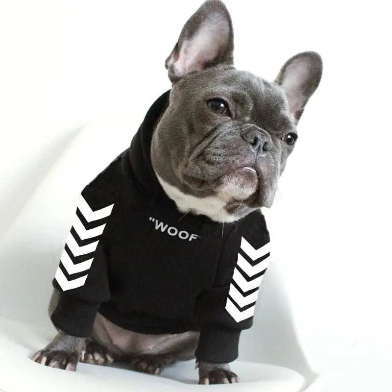 Winter dog jacket with hood, casual pet coat in black, side view on a dog