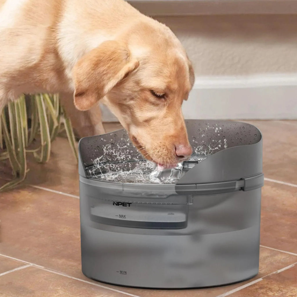 Automatic pet water dispenser with flowing water circulation system for cats and dogs