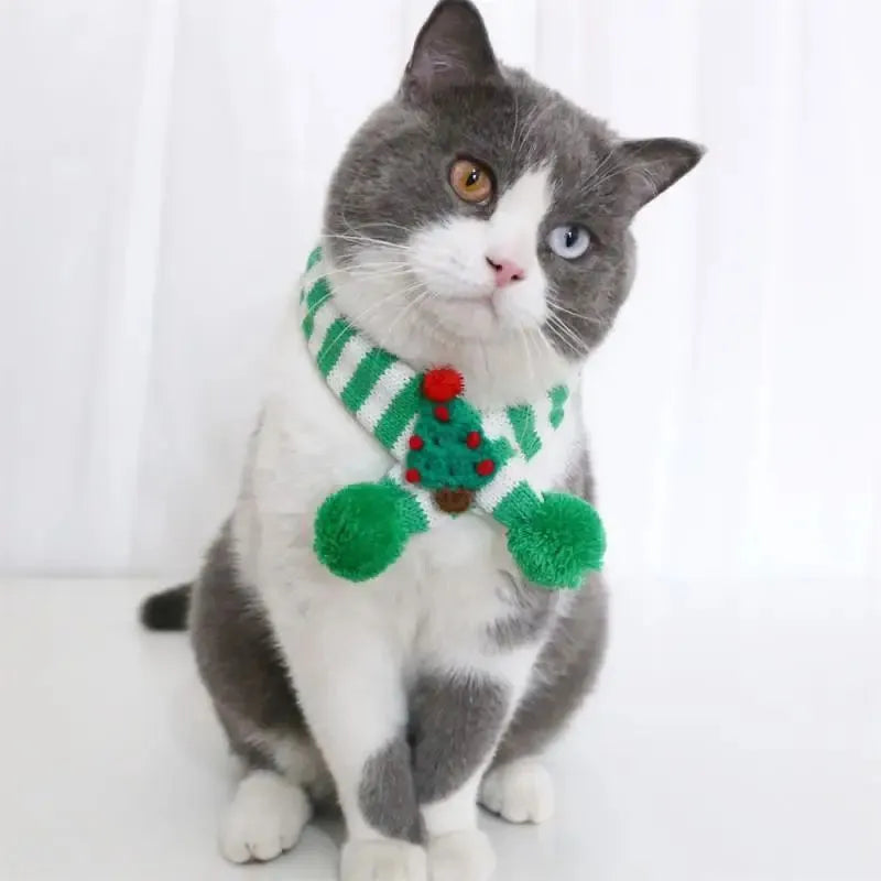 Handmade green knitted adjustable dog scarf collar on small pet