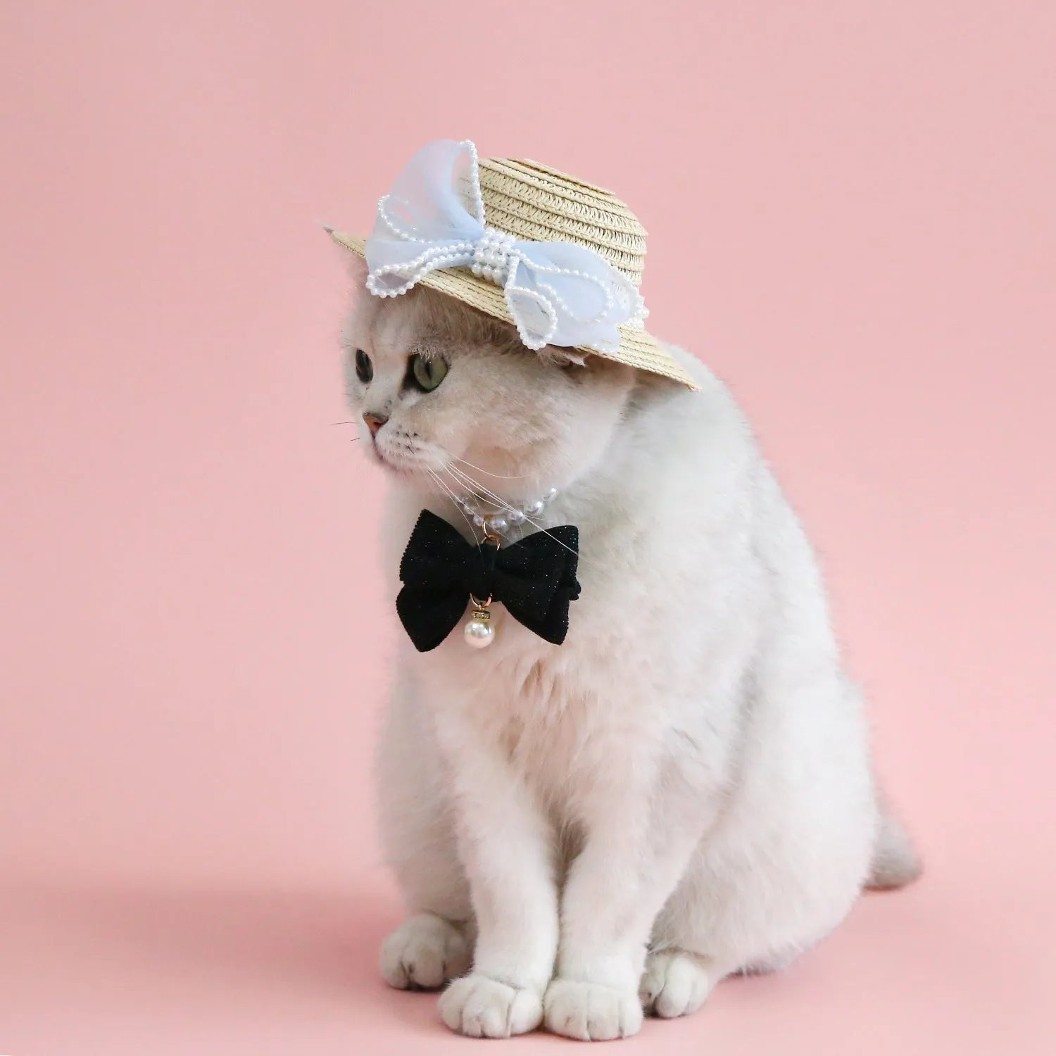 Pet cat wearing straw hat with pearl bow decoration in princess style costume accessory