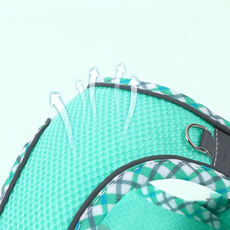 Step-in dog harness with leash in breathable mesh with reflective trim