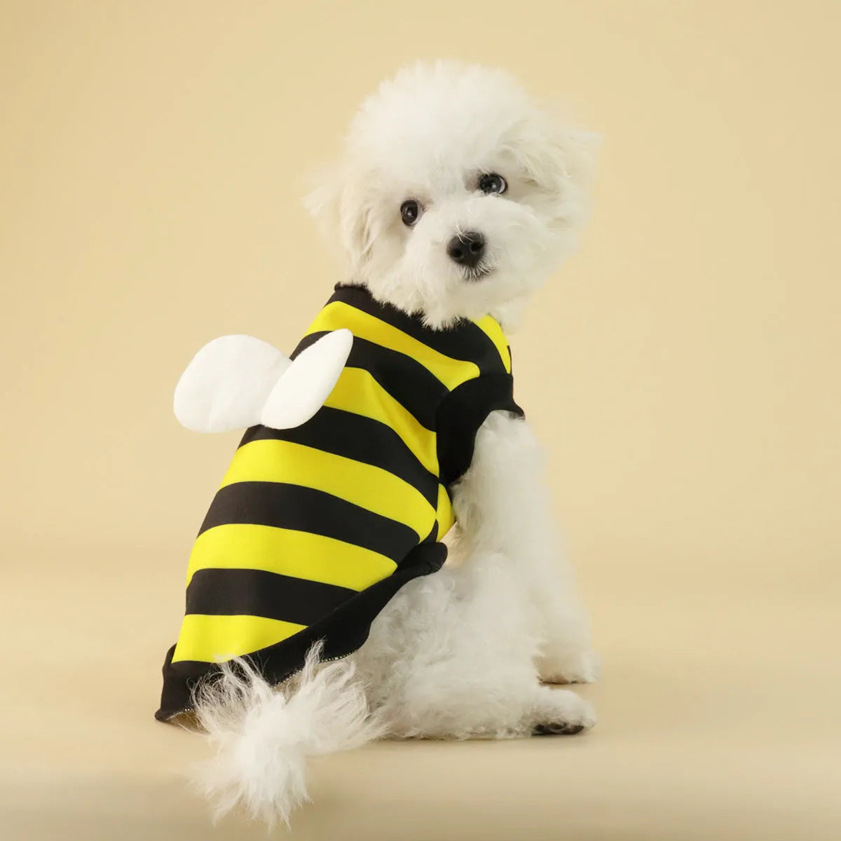 Frog Dog polyester fleece dog sweater in bee vest design for small to medium pets