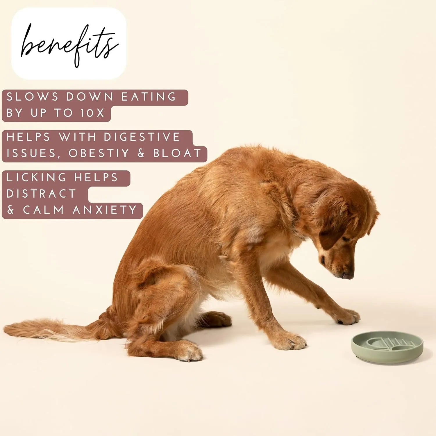 Beige silicone dog slow feeder bowl with ridges, shown next to a grey blue version on a wooden floor.