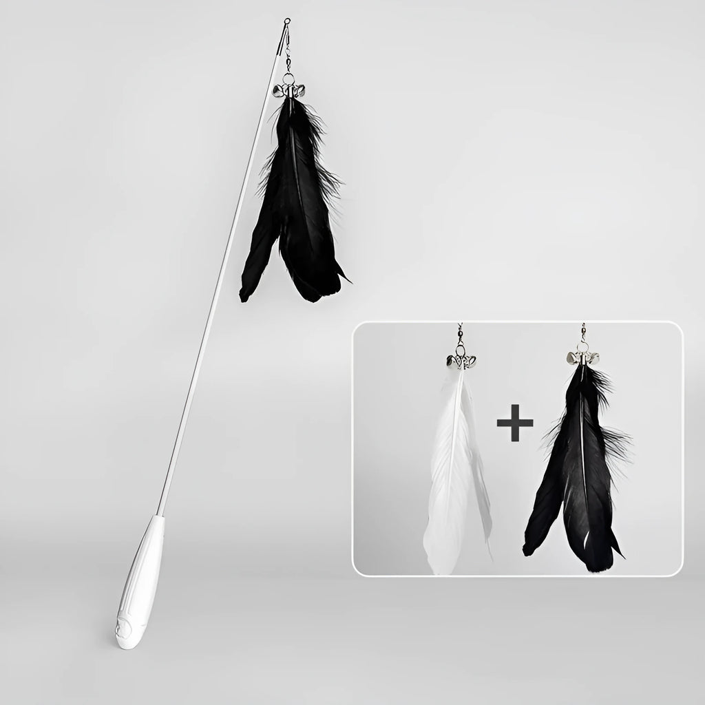 Telescopic cat fishing rod toy extended to 80cm with goose feather end and removable pen attachment