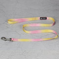 Gradient colour dog leash set showing nylon collar, harness, and matching lead in pink and yellow combination