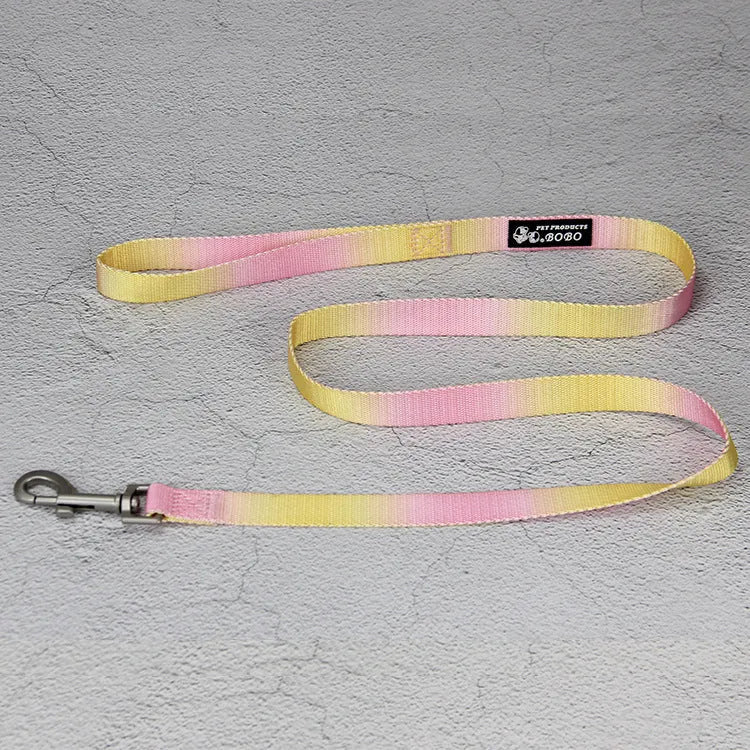 Gradient colour dog leash set showing nylon collar, harness, and matching lead in pink and yellow combination