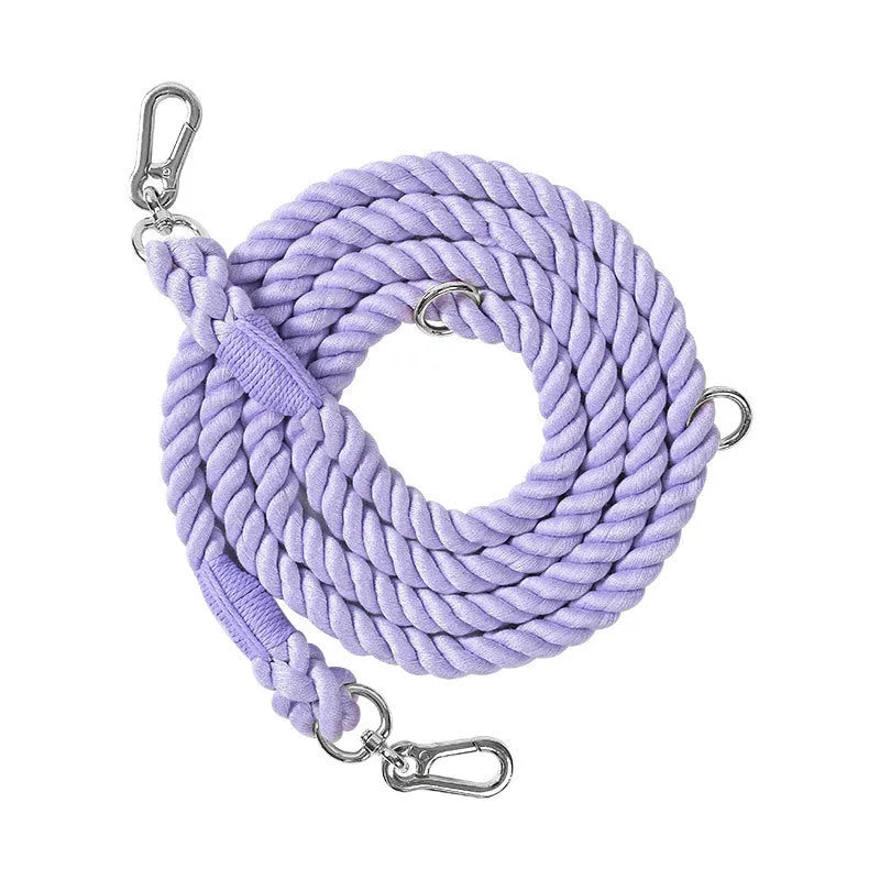 Woven rainbow coloured dog leash with clips at both ends, shown in a choice of colours with silver or gold fittings.
