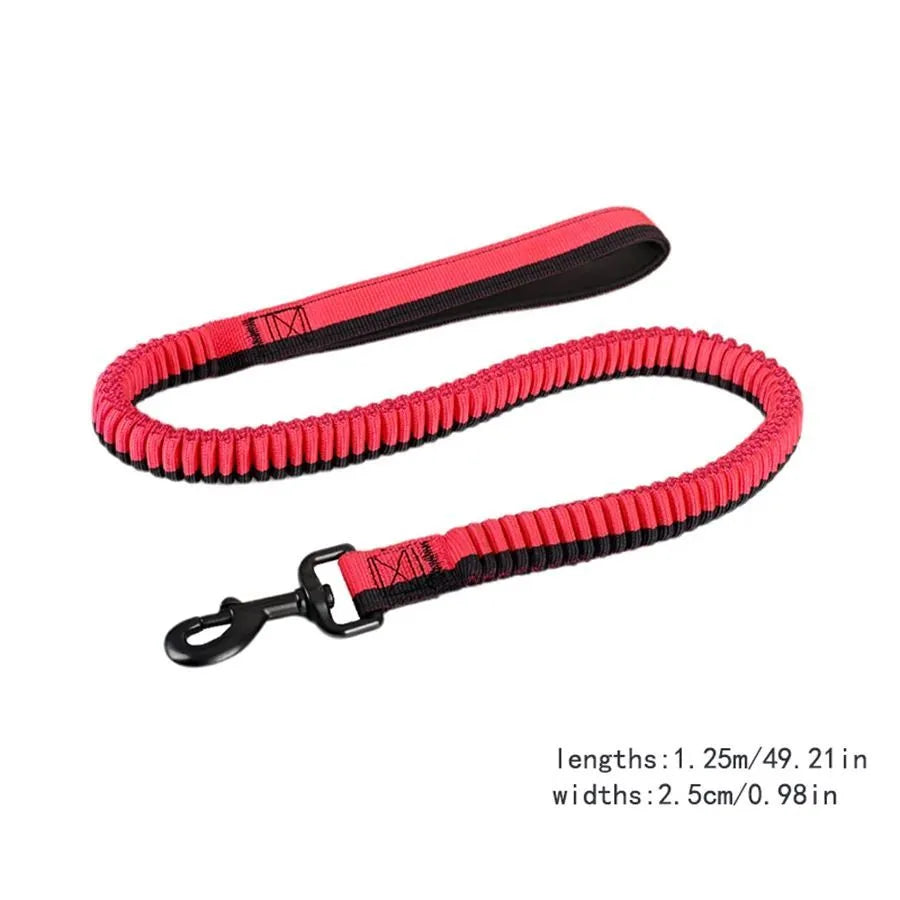 Anti-violence elastic dog training leash in green with zinc alloy clip for medium and large dogs
