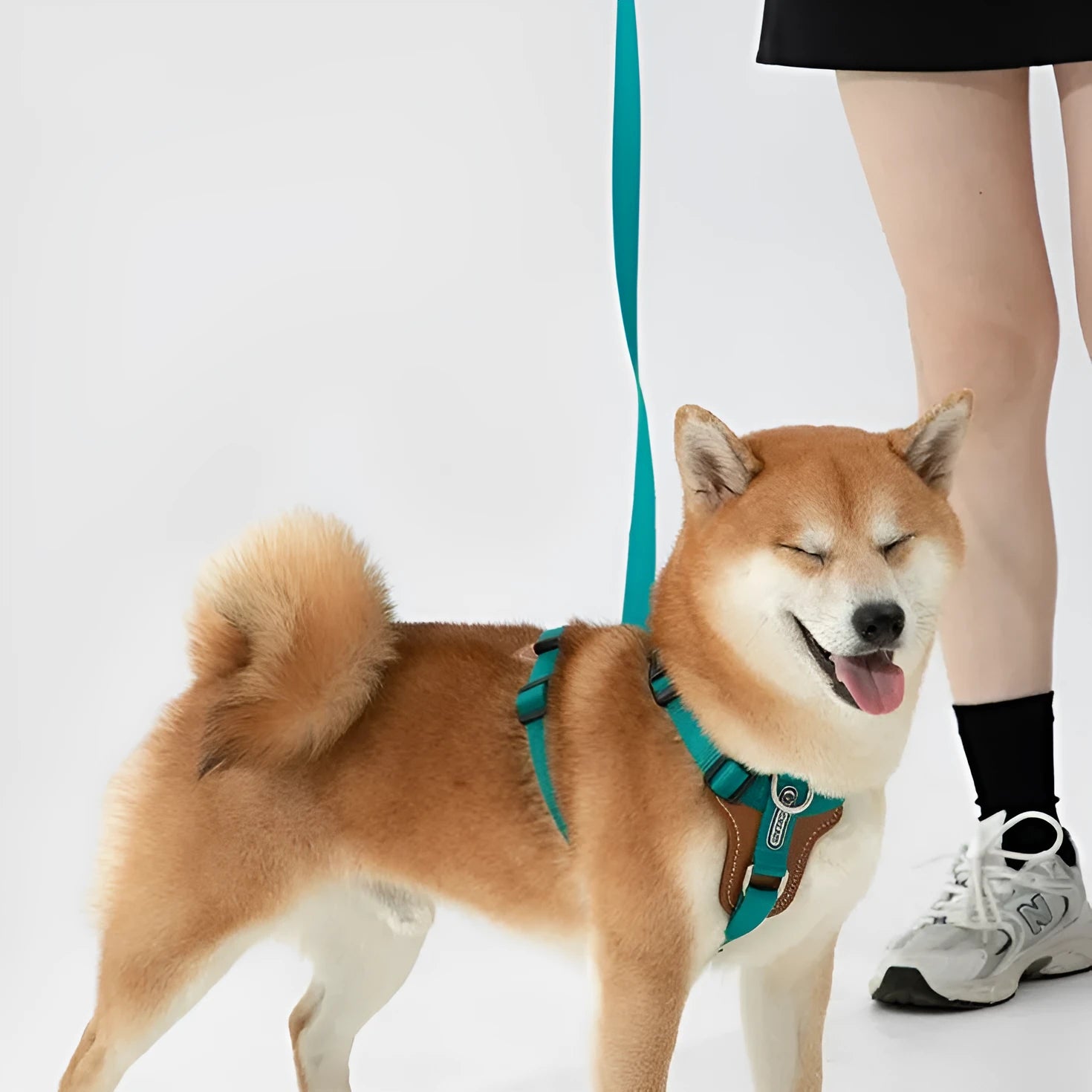 Dog rope leash multifunctional explosion-proof chest strap double pull in cardamom red for pets