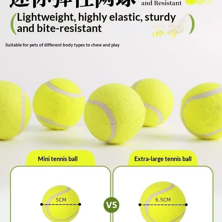 Pack of six 5cm stainless steel tennis balls for mini automatic dog ball launchers