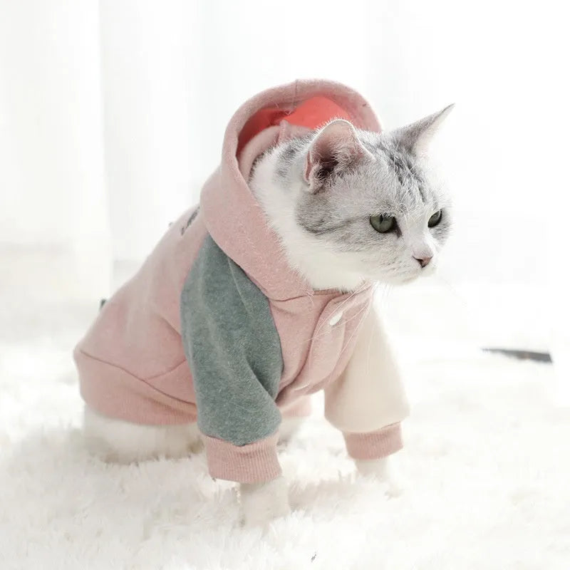Brown cotton pet sweatshirt for a dog, showing soft knit fabric and casual fit.