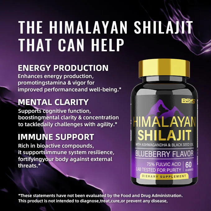 BSYS Shilajit Gummies 60 count bottle dietary supplement for energy and vitality