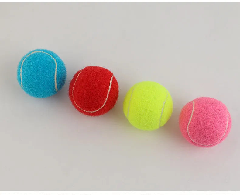 Bright pink, blue, yellow, green, and orange 6.3cm rubber tennis balls for dogs on grass.