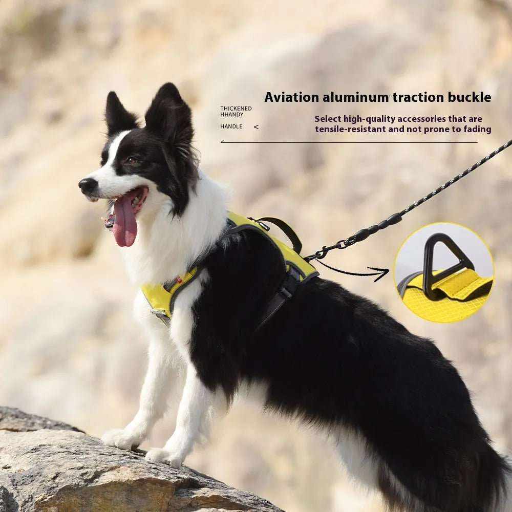 Reflective breathable explosion-proof Oxford cloth dog harness in orange on white background
