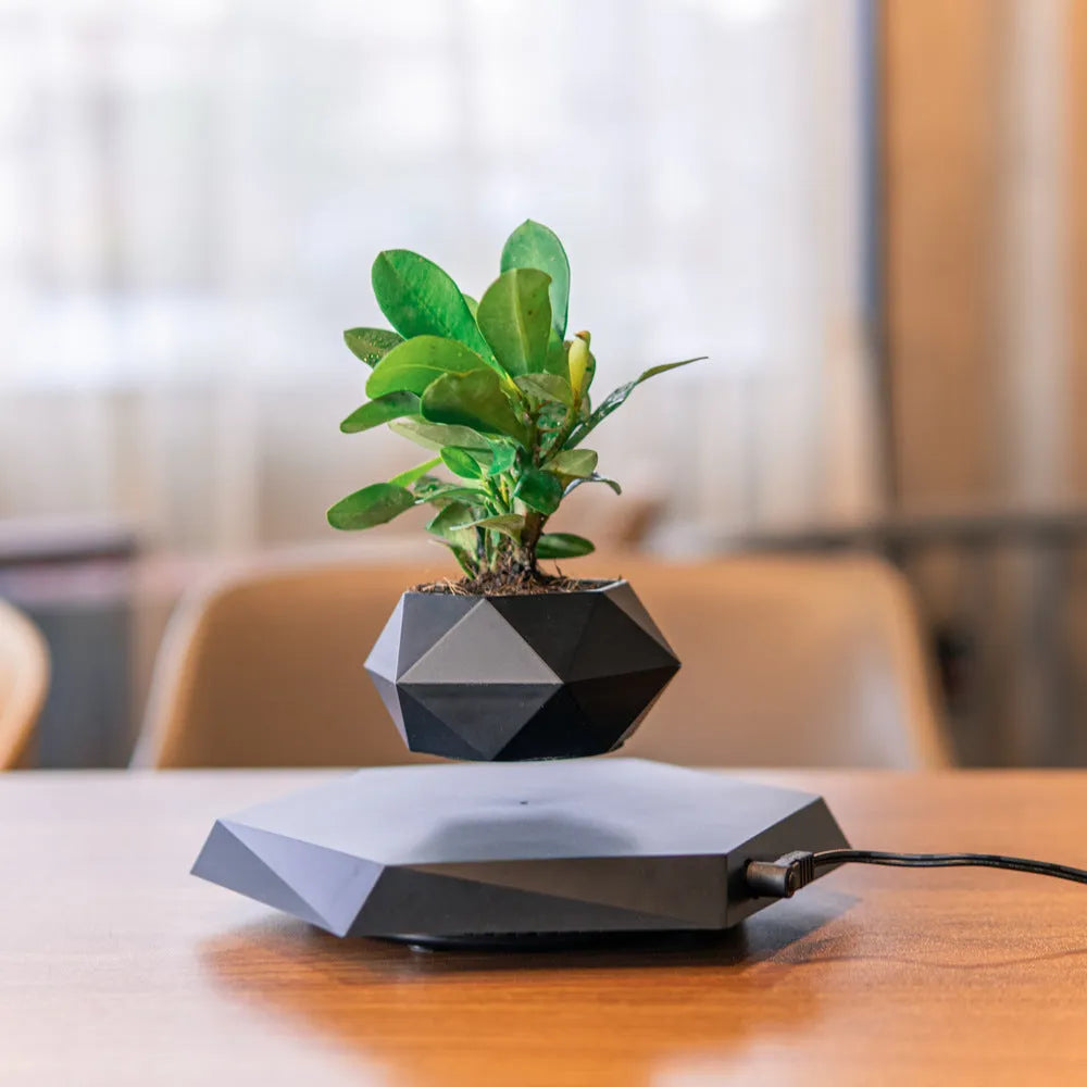 Hexagonal wood grain magnetic levitating flower pot floating 15mm above circular base