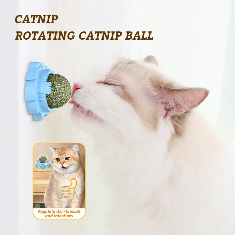 Lion-shaped catnip molar toy in orange, pink or blue colours with paste feature