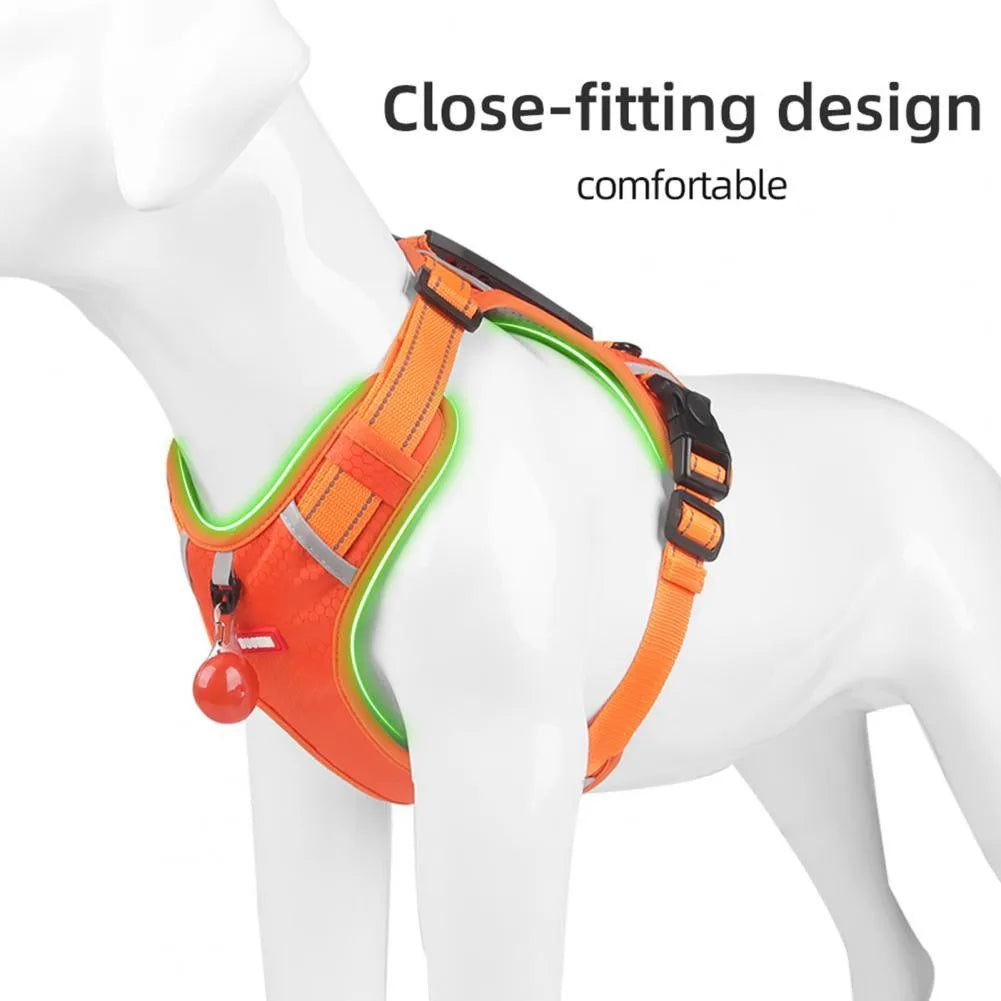 Orange adjustable nylon dog harness with reflective strips and mesh panels shown on dog