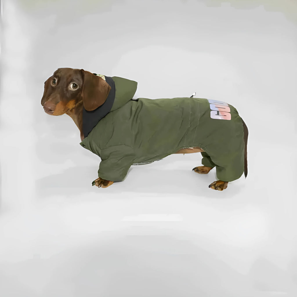Thickened four-legged pet clothing in beige on a small dog, winter outdoor use