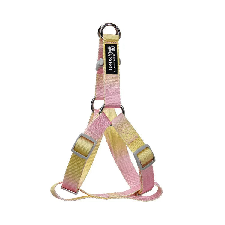 Gradient colour dog leash set showing nylon collar, harness, and matching lead in pink and yellow combination