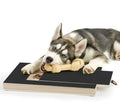 Wooden dog nail scratch board with treat drawer and non-slip pads for natural nail trimming