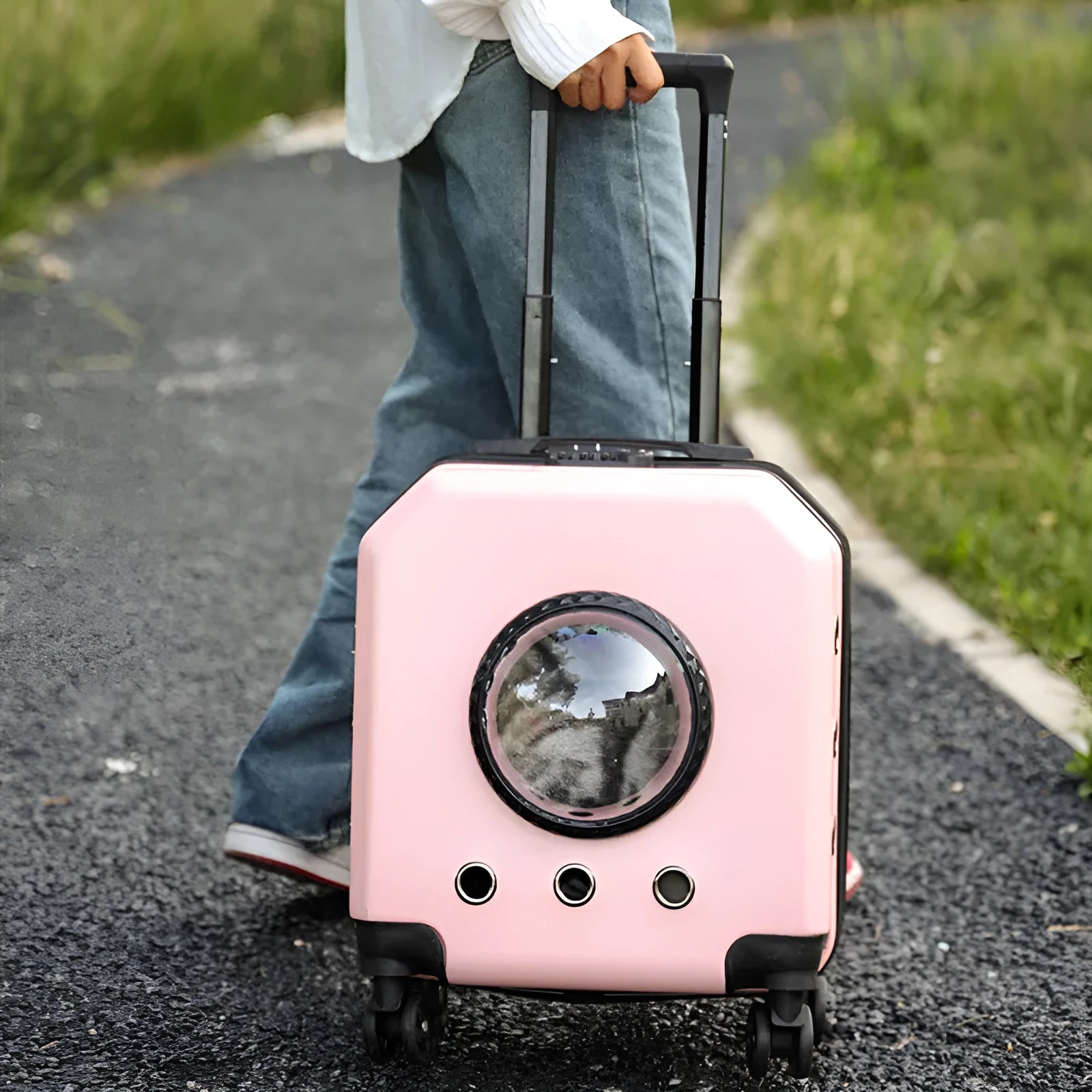 Hard PVC cat trolley carrier in burgundy colour with 15 litre capacity and wheels