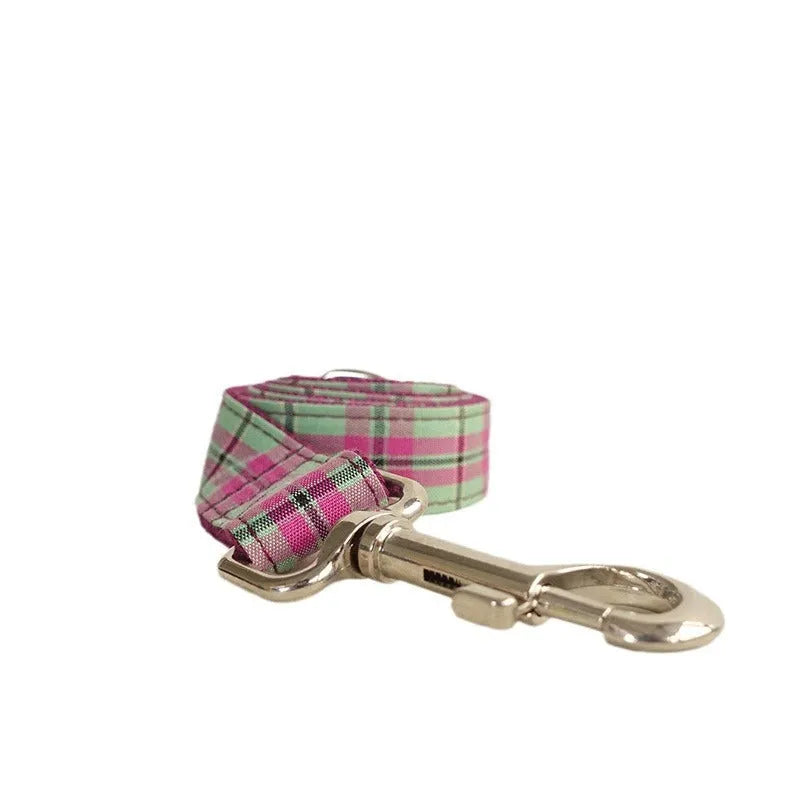 Mint-coloured polyester dog collar and leash set with zigezi pattern shown with adjustable sizing options