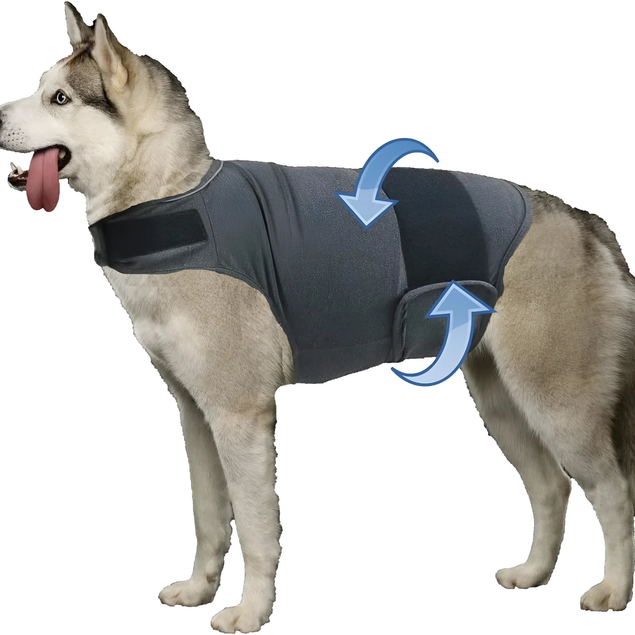 Classic Dog Anxiety Jacket breathable thunder vest in a neutral colour, shown on a calm dog, with multiple size options from XS to XXXL