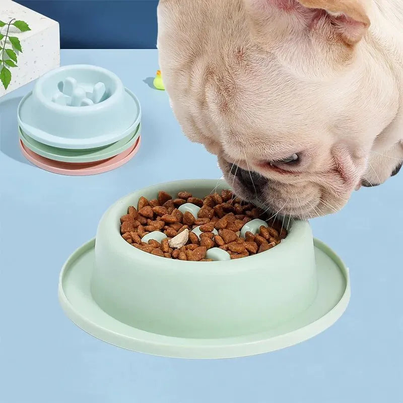 PP plastic pet slow feeder bowl in blue, green, or pink with maze design and non-slip base