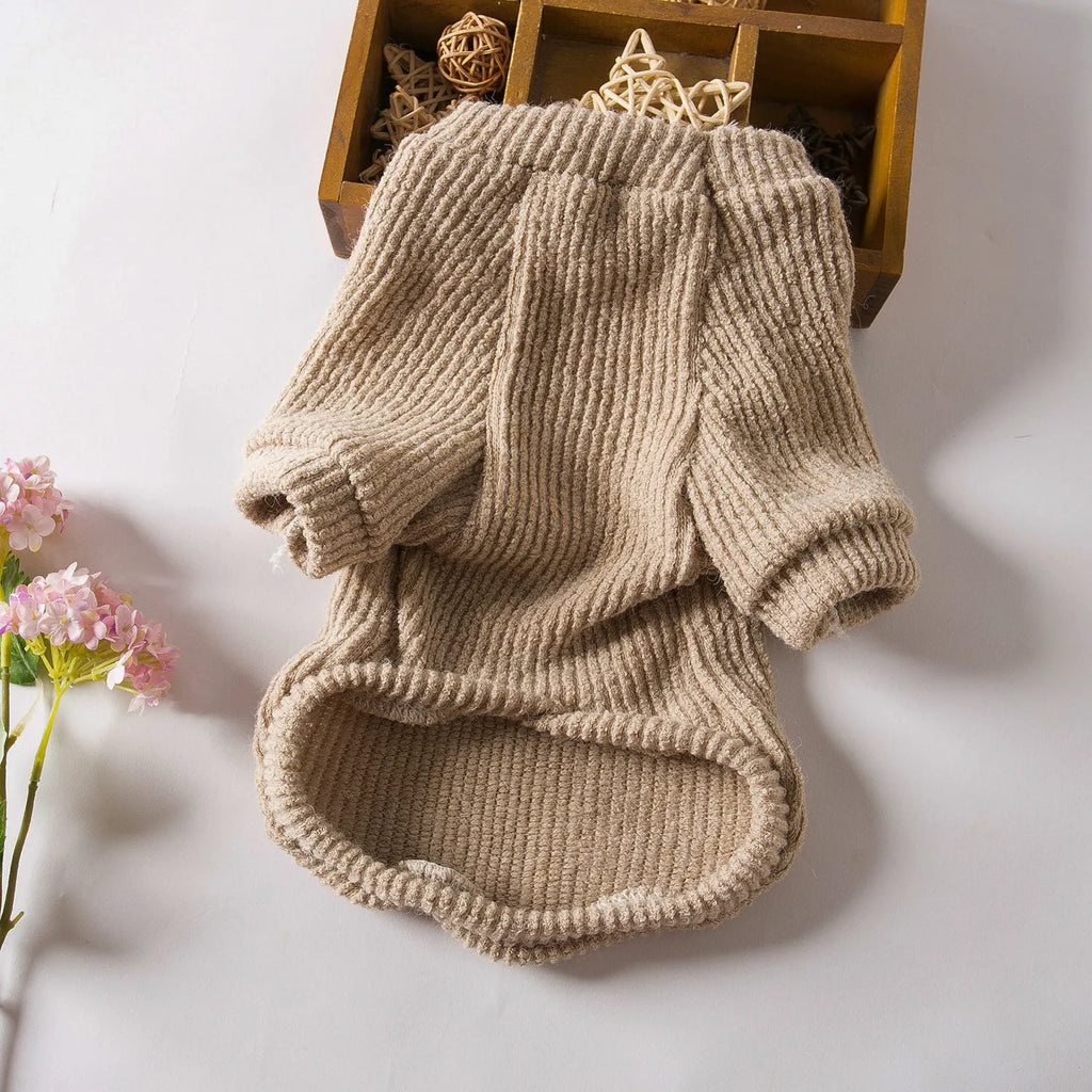 Brown cloth pullover sweater on a small dog, showing casual design.