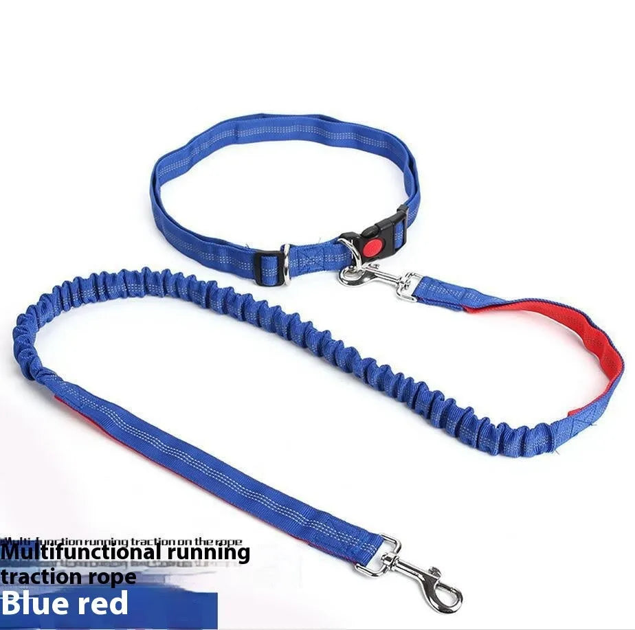 Gray and green nylon dog leash with reflective filament sling for outdoor night safety