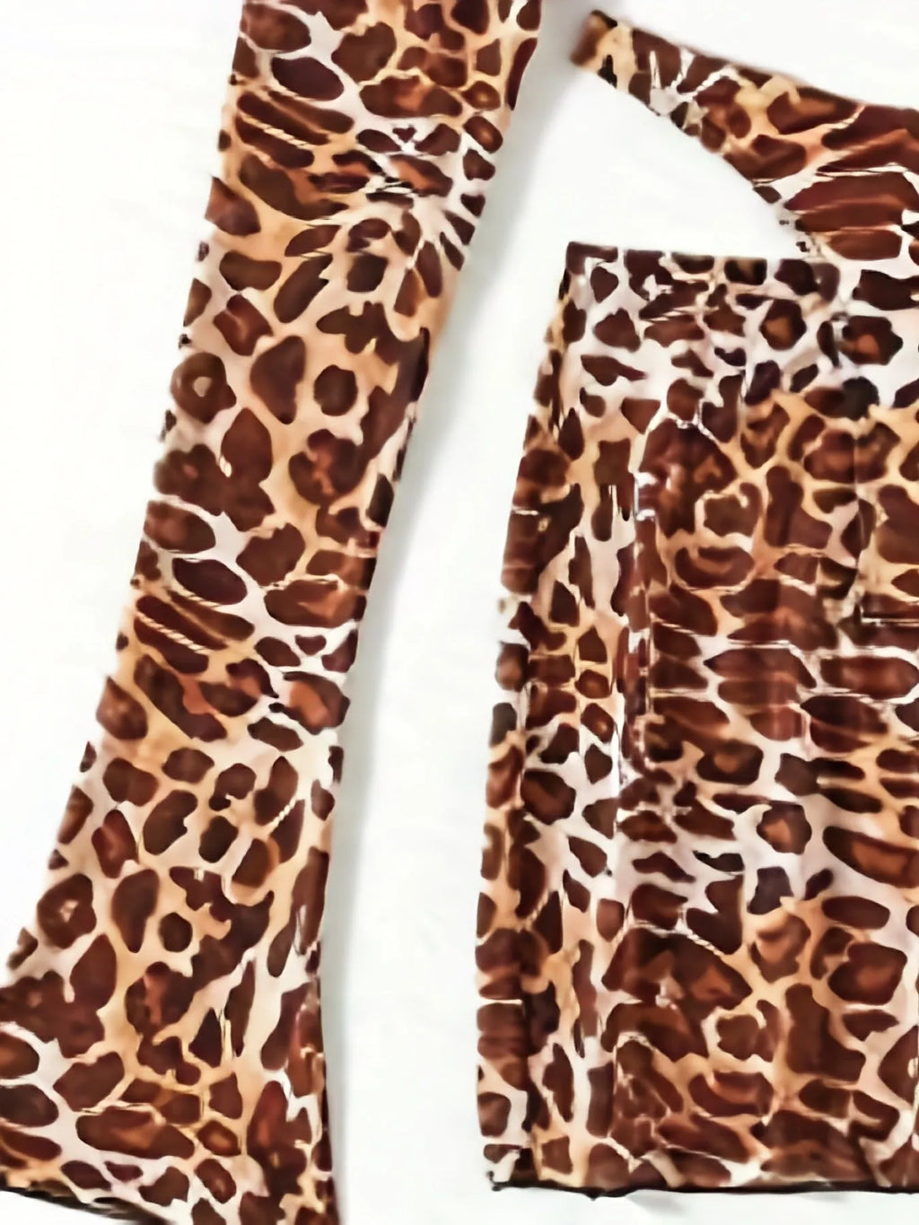 Leopard print bikini swimsuit set with matching top and briefs